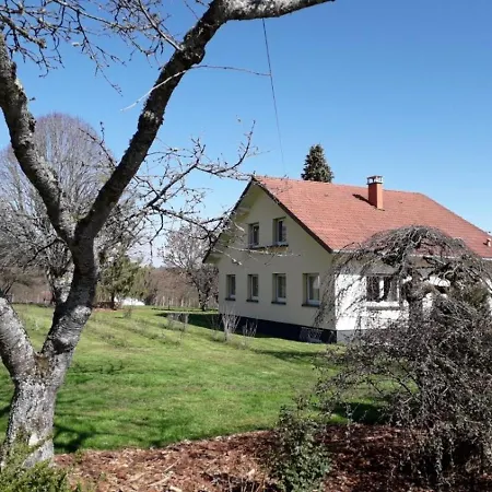 Holiday home Maison Spacieuse Avec Terrasse, Pres De Saint-die, Ideale Pour Randonnees Et Proche De L'alsace - Fr-1-589-464