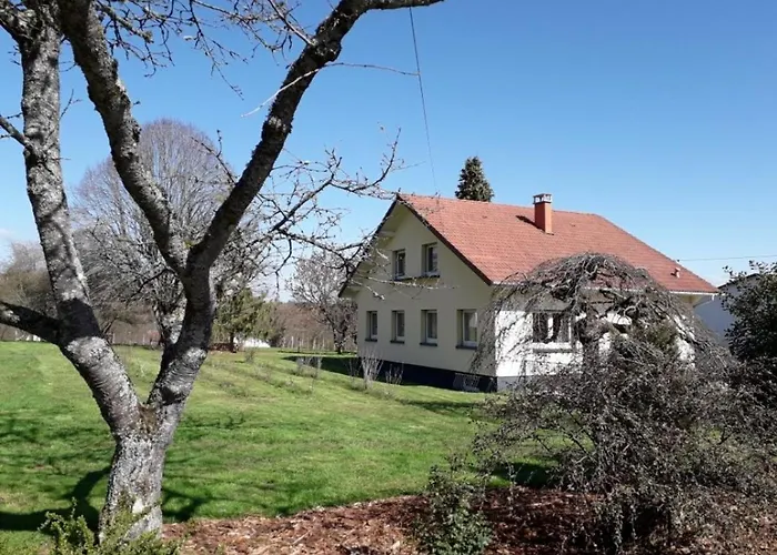 度假居 Maison Spacieuse Avec Terrasse, Pres De Saint-die, Ideale Pour Randonnees Et Proche De L'alsace - Fr-1-589-464